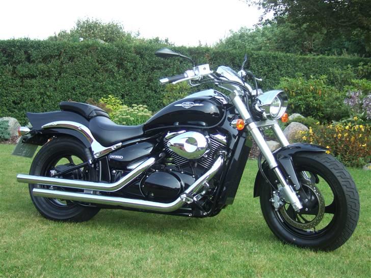 Suzuki m800 SOLGT - m800 billede 1