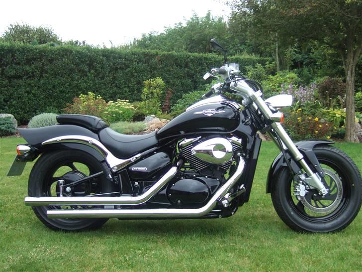 Suzuki m800 SOLGT - så blev den sænket ca.5 cm billede 6