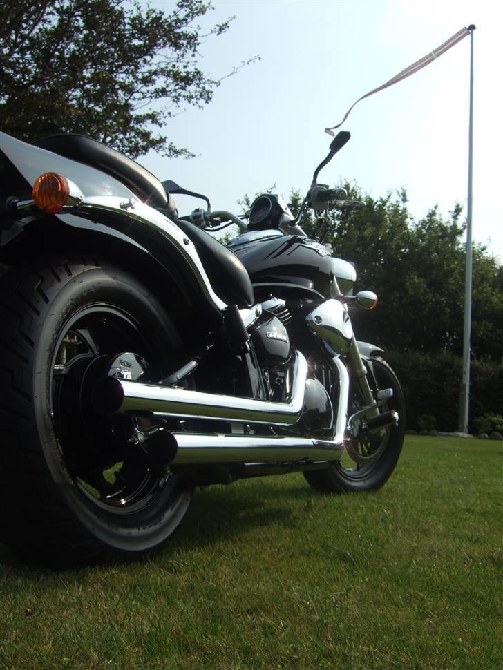 Suzuki m800 SOLGT billede 19