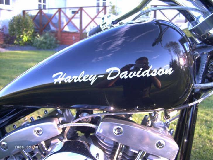 Harley Davidson flh 1200 billede 2