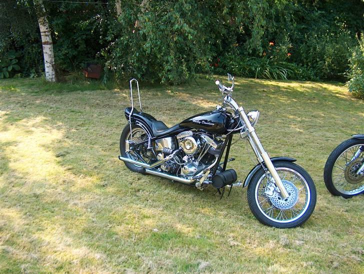 Harley Davidson flh 1200 billede 9