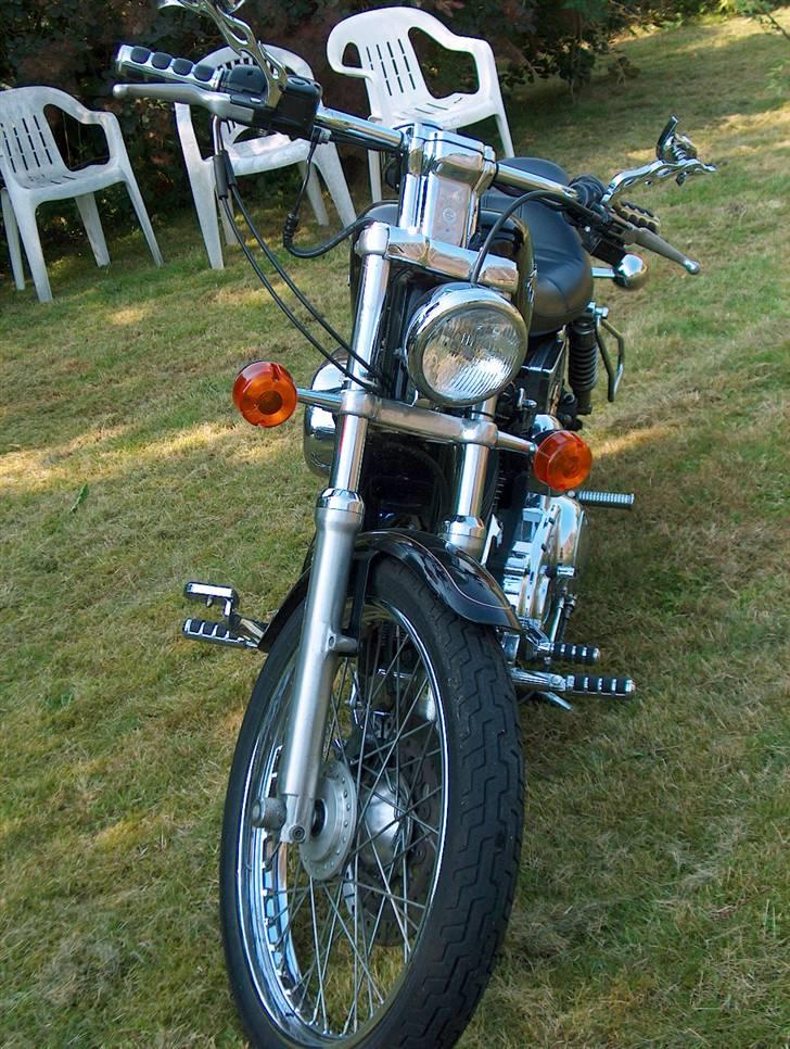 Harley Davidson xl 1200 custom billede 2