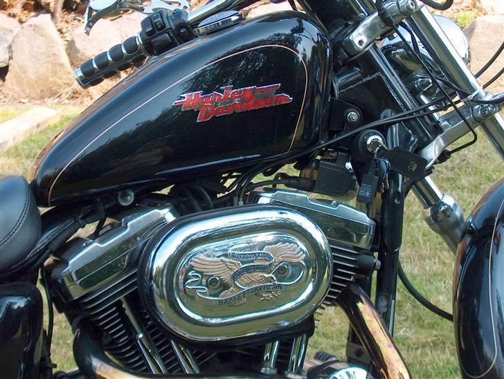 Harley Davidson xl 1200 custom billede 4