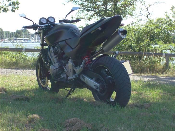 Honda Hornet Fighter (solgt) billede 19