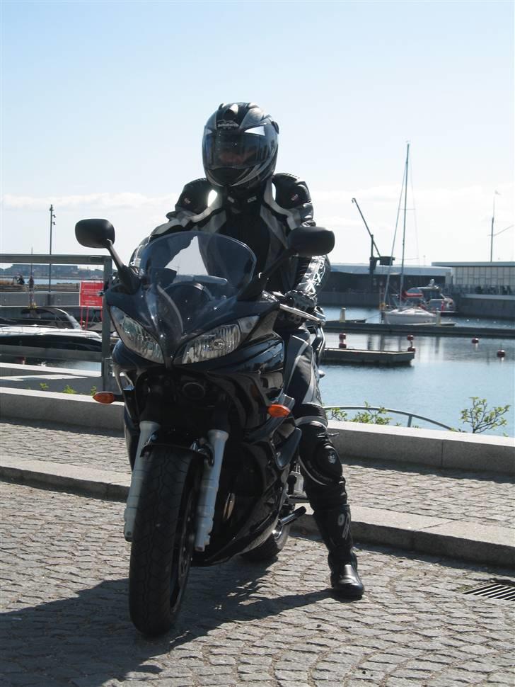 Yamaha FZ6-S ABS (06-model) billede 1