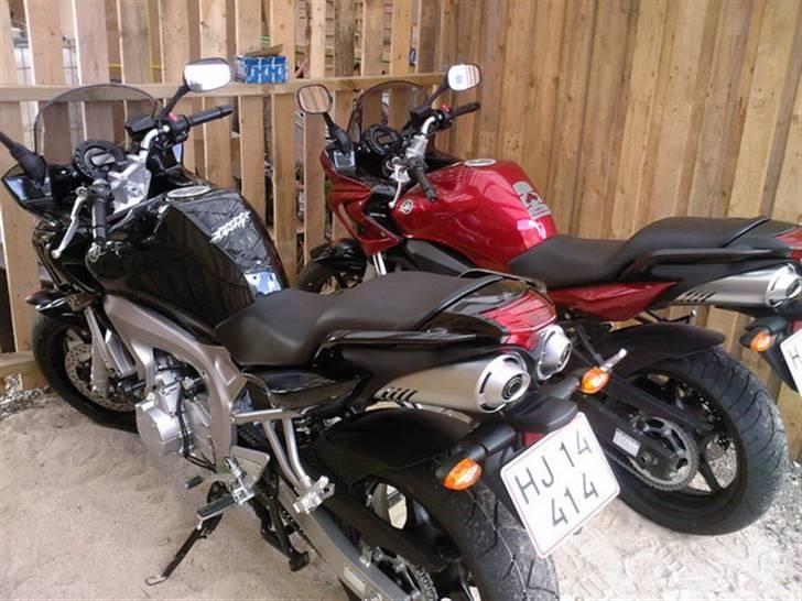 Yamaha FZ6-S FAZER - den sorte er min, den røde kører fruen på, når hendes kort er i hus :D billede 2