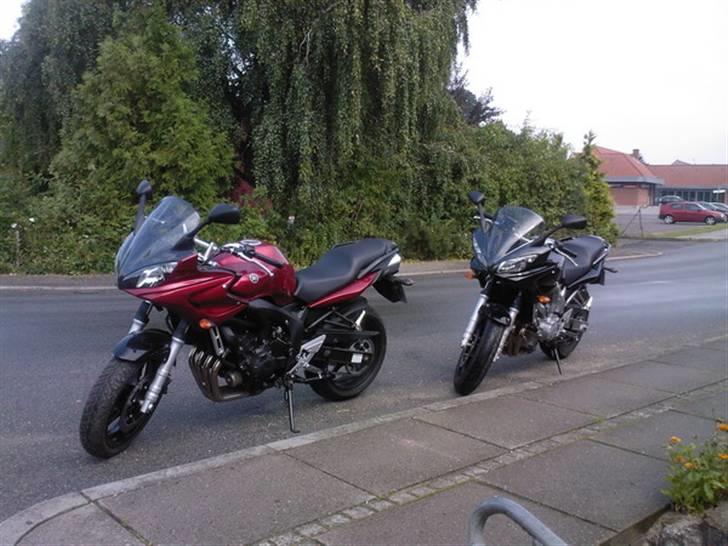 Yamaha FZ6-S FAZER - her står de klar til at trille billede 6