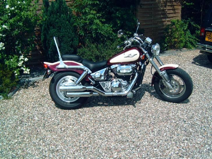 Suzuki vz 800 marauder billede 2