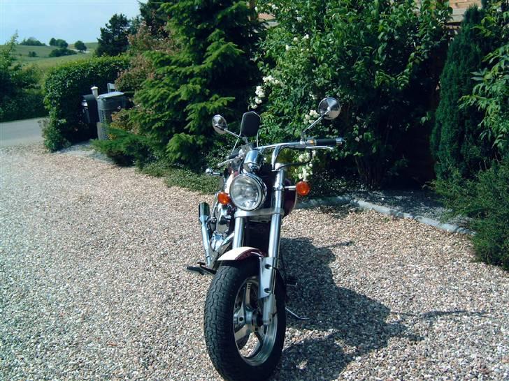 Suzuki vz 800 marauder billede 3