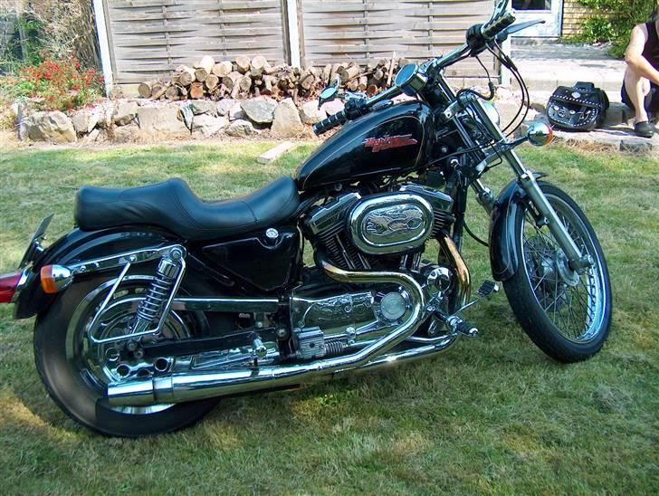 Harley Davidson xl 1200 custom billede 8