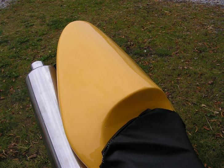 Honda Hornet - El diablo- [solgt]  billede 19