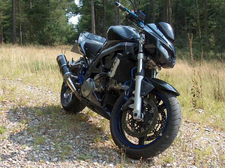 Suzuki SV 1000 N *solgt* ;-( - SV 1000 Naked billede 6