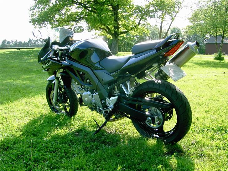 Suzuki SV650S Sælges billede 2
