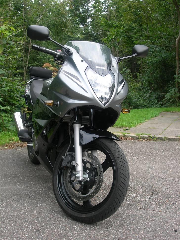 Suzuki GS 500 F billede 1