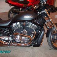 Harley Davidson Night Rod