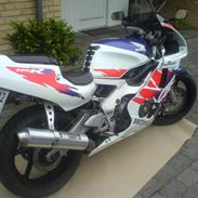 Honda cbr 400 fireblade (SOLGT)