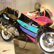 Honda cbr 600 (SOLGT)