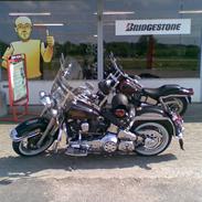 Harley Davidson Flstc