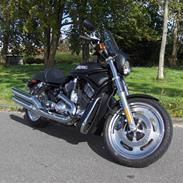 Harley Davidson Night Rod