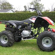 Universal ATV 200CC Solgt