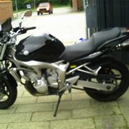 Yamaha Fz6-N