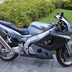 Yamaha YZF 600 R Thundercat