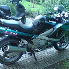 Kawasaki zzr 600
