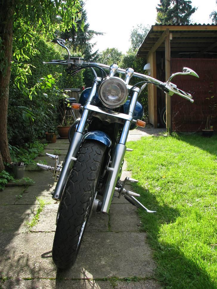 Yamaha XVS 650 Dragstar billede 8