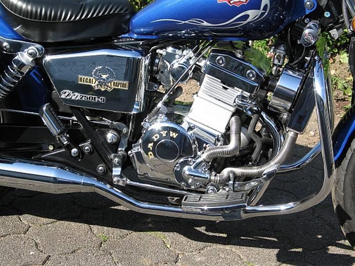 Regal Raptor DD250E-9 billede 8