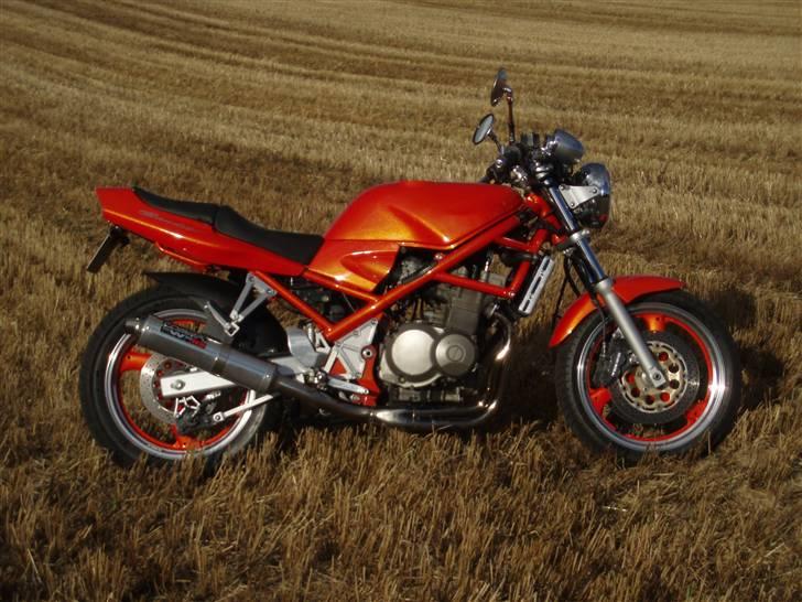 Suzuki GSF 400 BANDIT (Solgt) - Skønheden ;) billede 1