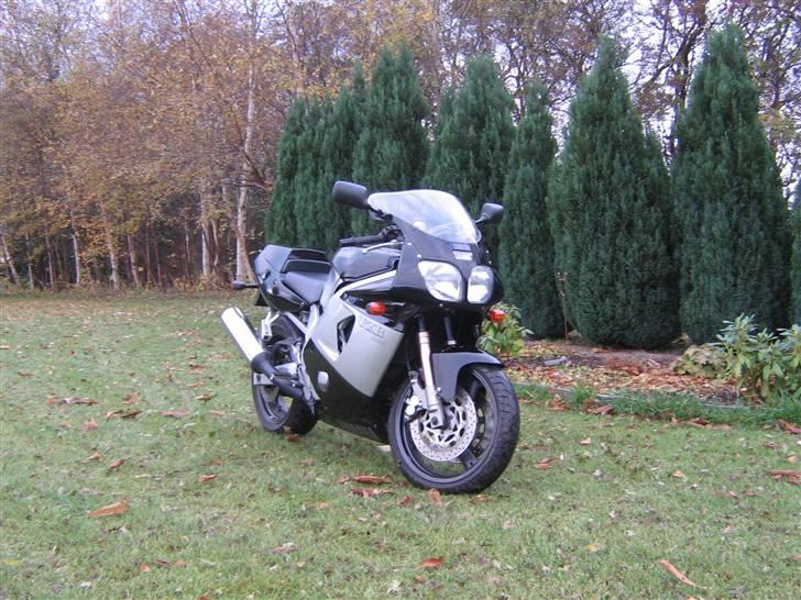 Yamaha fzr 600R billede 2
