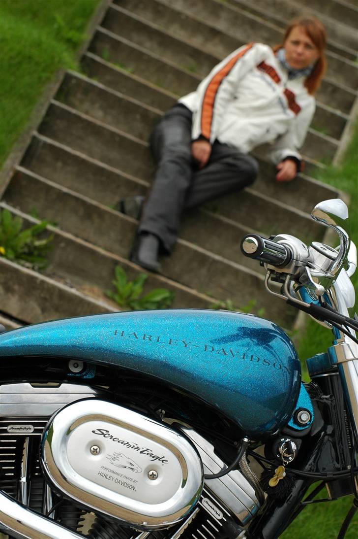 Harley Davidson Sportster xl custom-solgt billede 13