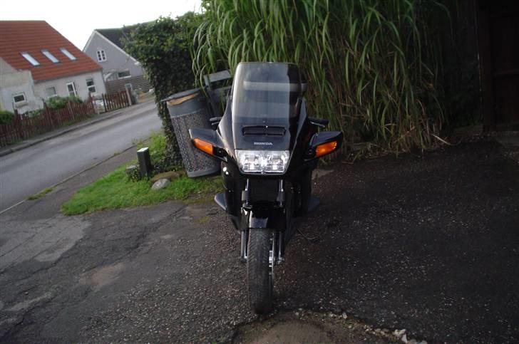 Honda ST 1100 Pan European billede 8