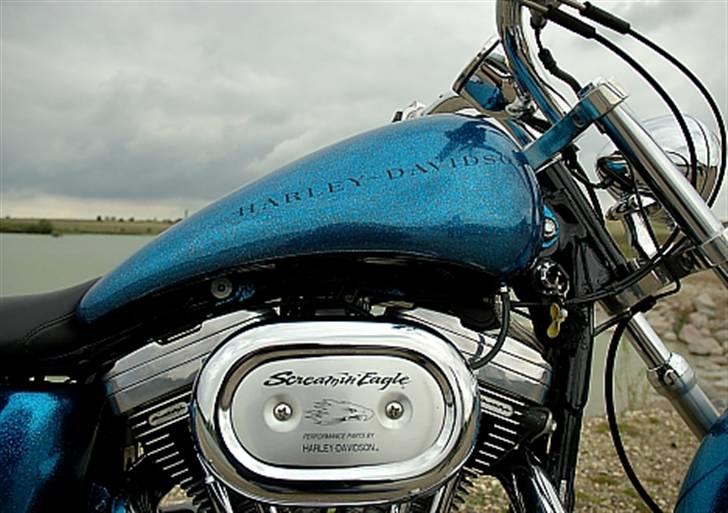 Harley Davidson Sportster xl custom-solgt billede 15