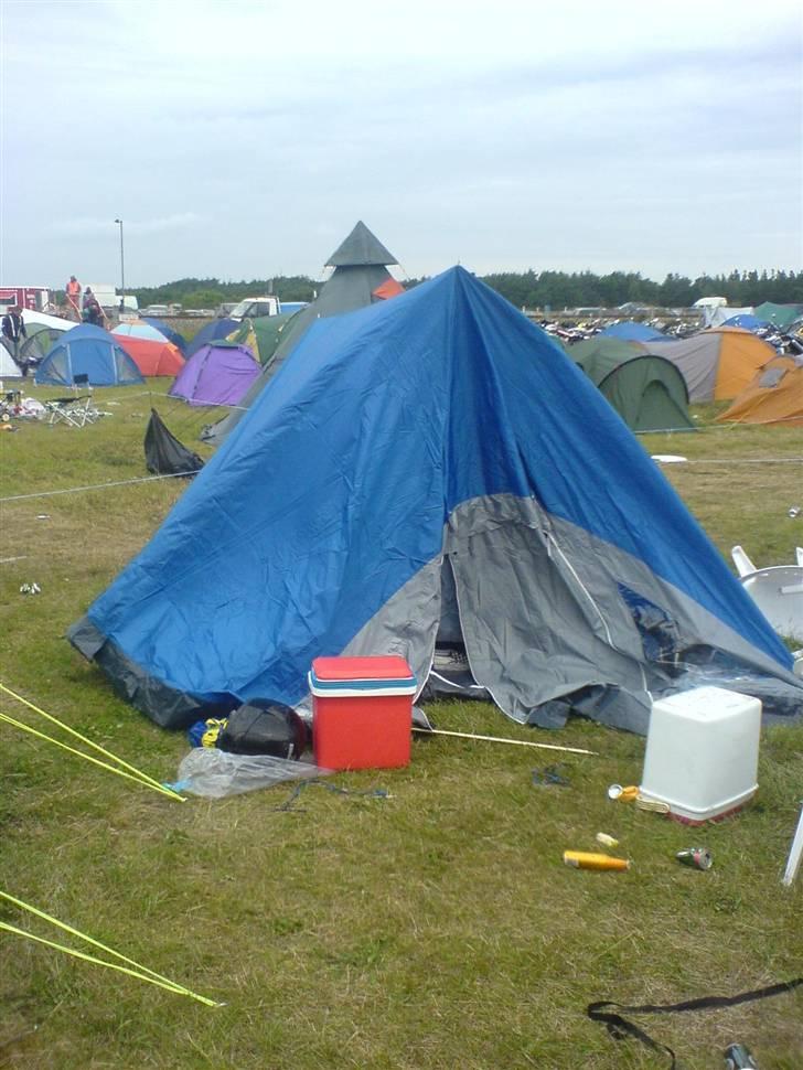 Kawasaki ZX 636 R - Lige et billede fra skagen 2007 lørdag morgen med ondt i stellet  billede 15