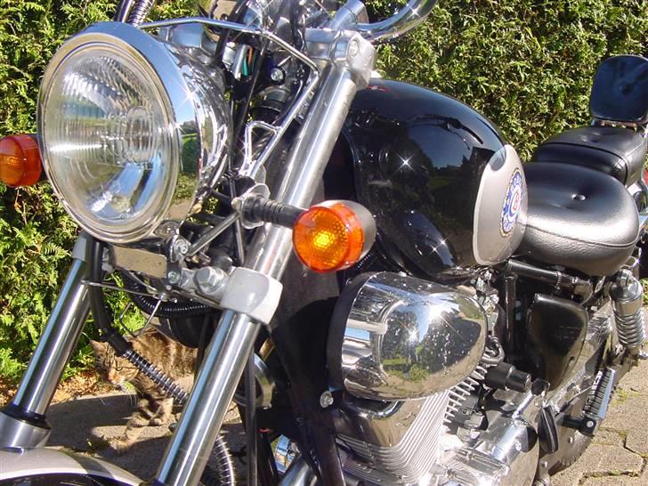 Ledow Ledow Borelli Milano billede 8