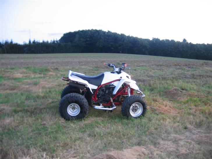 Yamaha Blaster 200 YFS - Quad billede 2