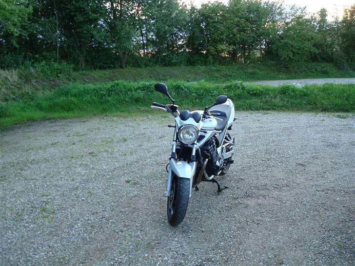 Suzuki GSF650 BANDIT billede 11