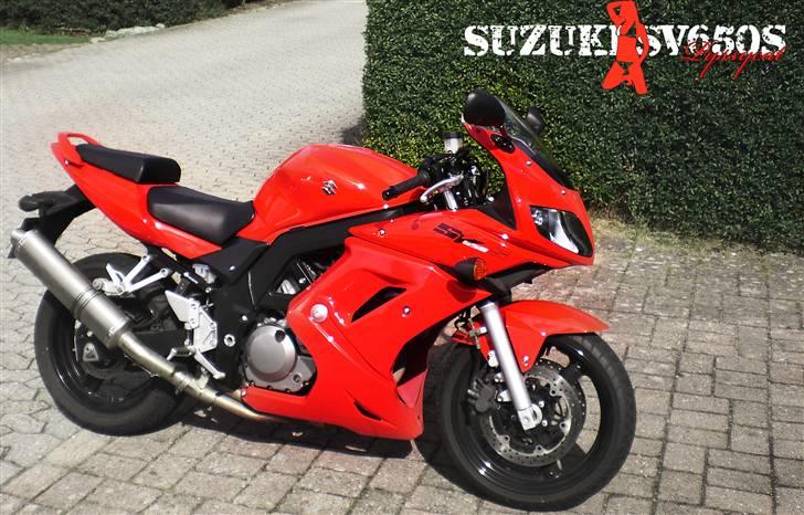 Suzuki SV650s K6 billede 1