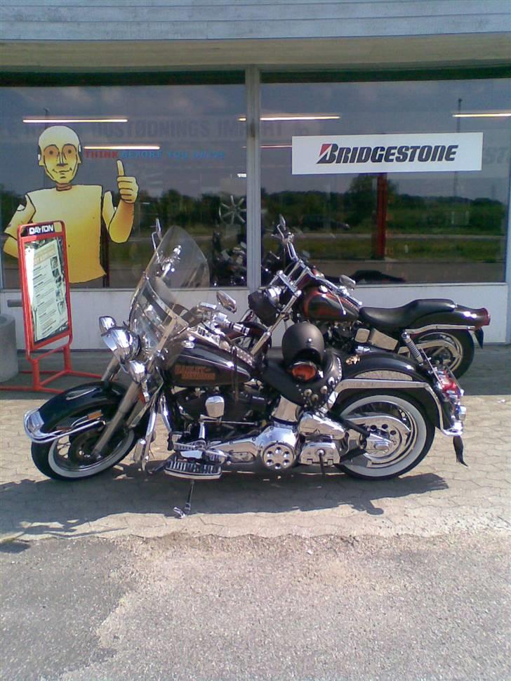 Harley Davidson Flstc billede 5