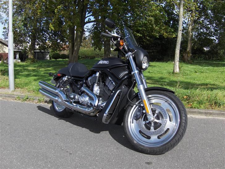 Harley Davidson Night Rod billede 4