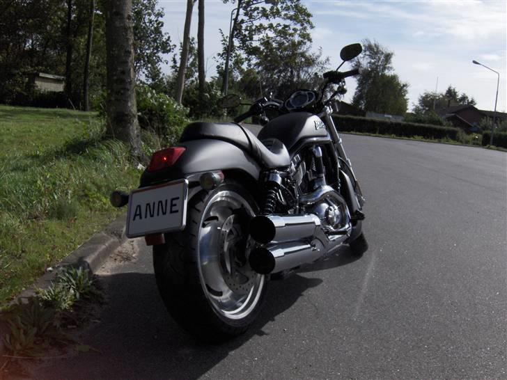 Harley Davidson Night Rod - Hvem kører der ? billede 5