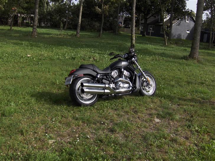Harley Davidson Night Rod - Alene i verden ? billede 7