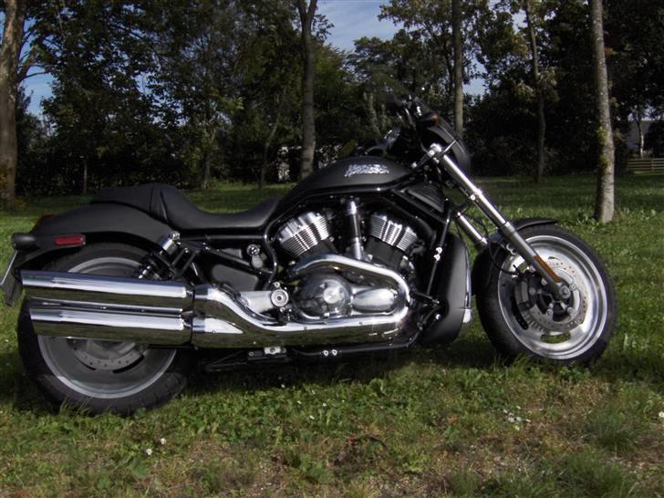 Harley Davidson Night Rod - Lidt utydeligt,- kunne ikke nænne at slette.. billede 8