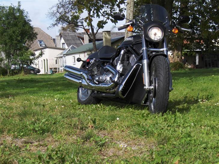 Harley Davidson Night Rod billede 9