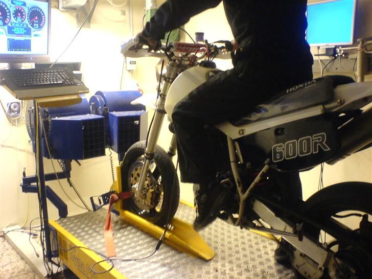 Honda XR 600 R SM - SOLGT - - Dennis skal igang med at rulle svinet. billede 7