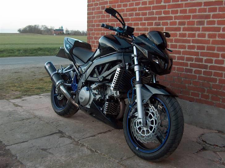 Suzuki SV 1000 N *solgt* ;-( billede 17