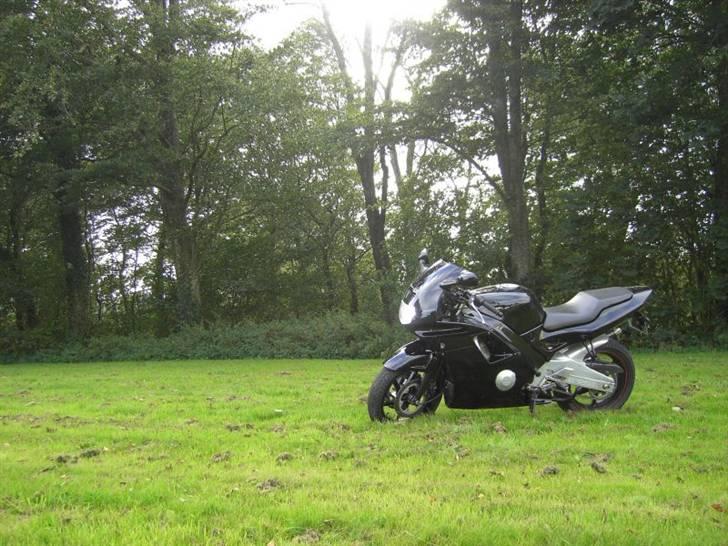 Honda CBR600 F2 billede 12