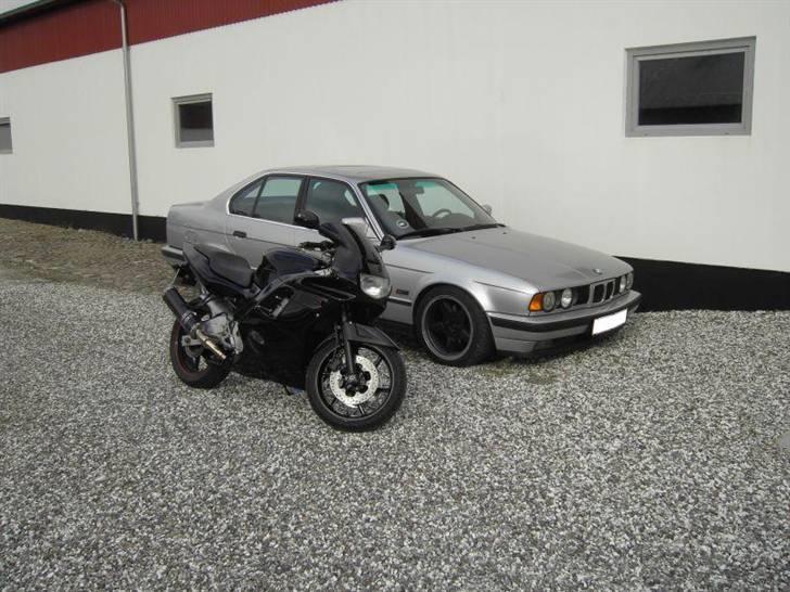 Honda CBR600 F2 - Lige de 2 dejlige køretøjer sammen billede 14