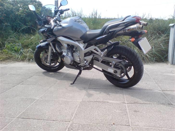 Yamaha FZ6-s billede 4